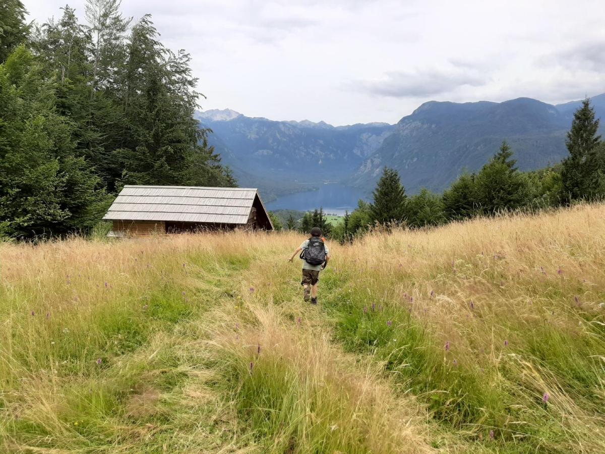 Chalet Pr Dobravc Bohinj Exteriör bild