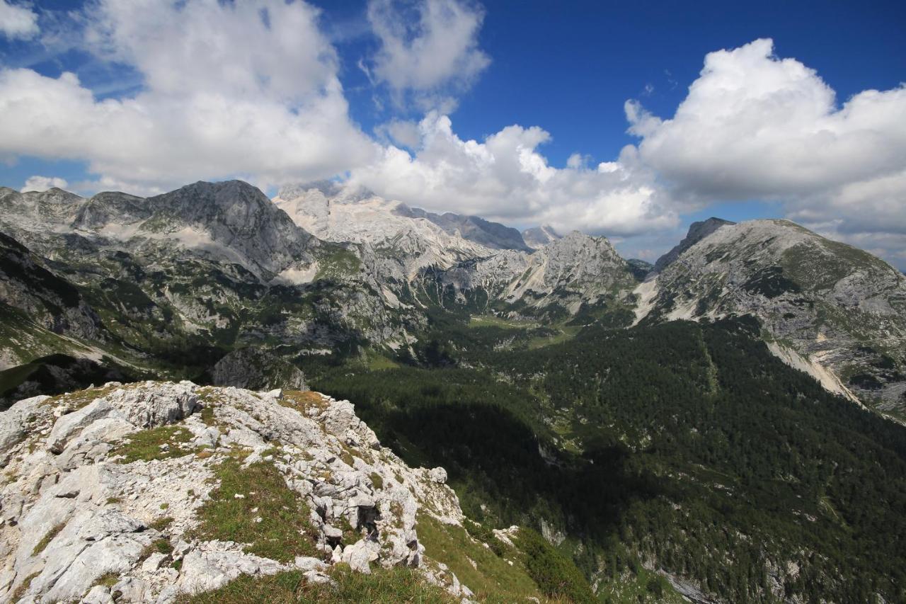 Chalet Pr Dobravc Bohinj Exteriör bild
