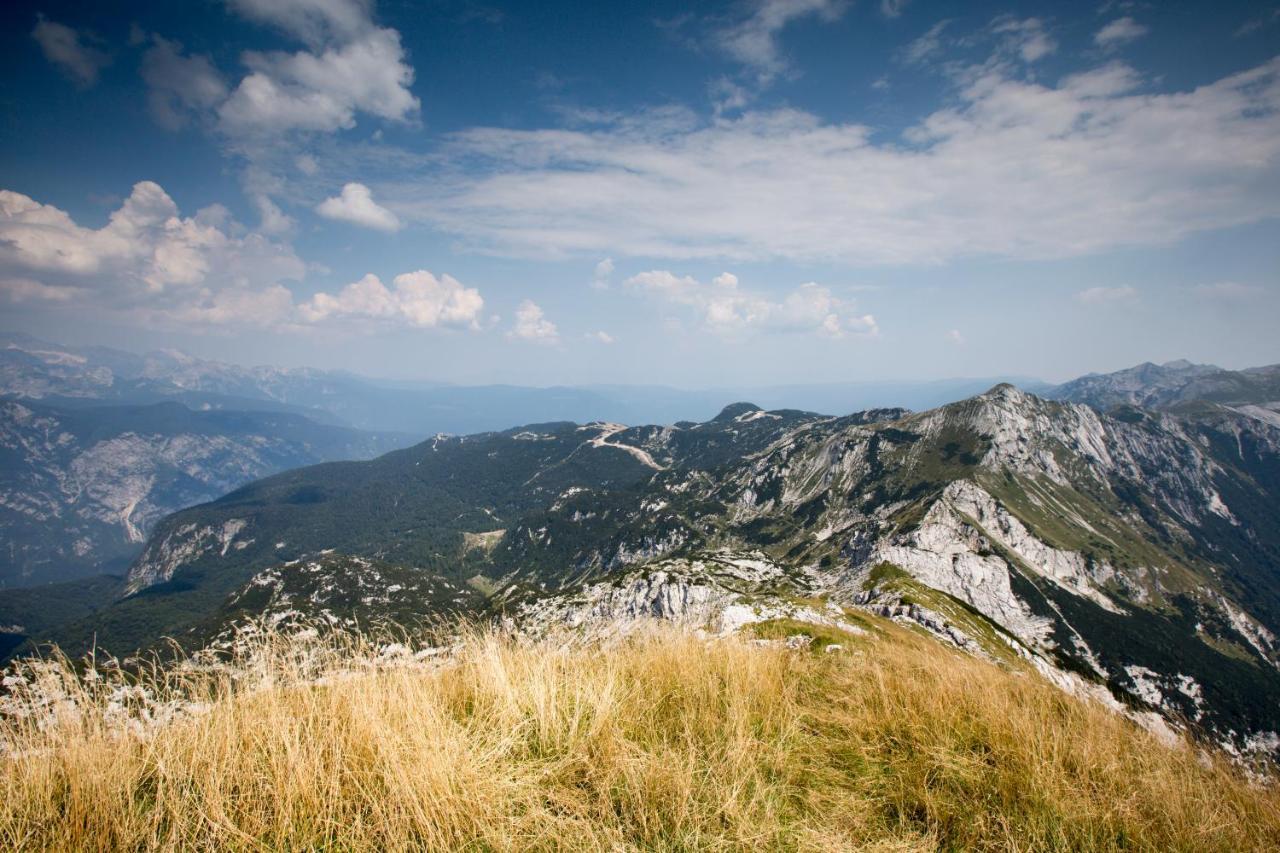 Chalet Pr Dobravc Bohinj Exteriör bild