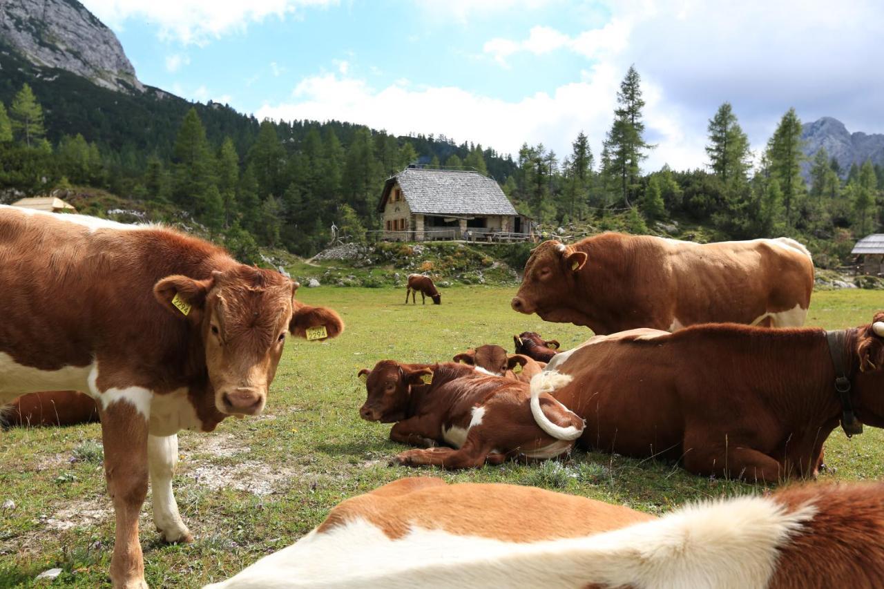 Chalet Pr Dobravc Bohinj Exteriör bild
